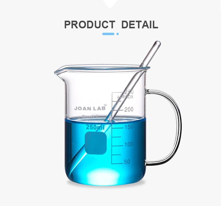Joan Lab Glass Beaker with Handle