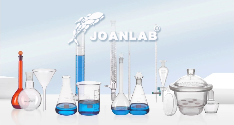 Joan Lab Glass Beaker with Handle