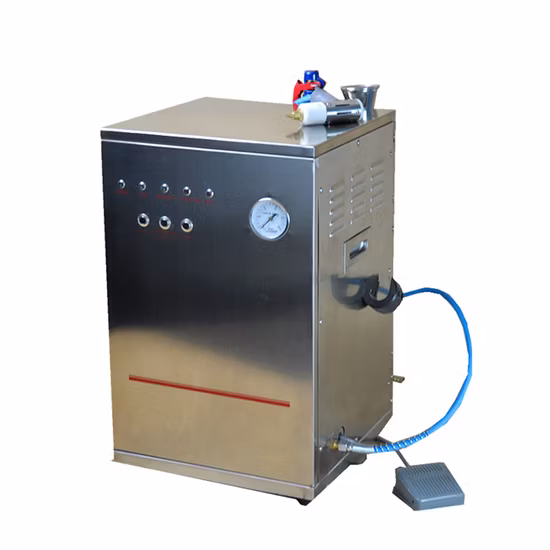 Hot Sale Dental Laboratory Steam Cleaner with CE Certificate